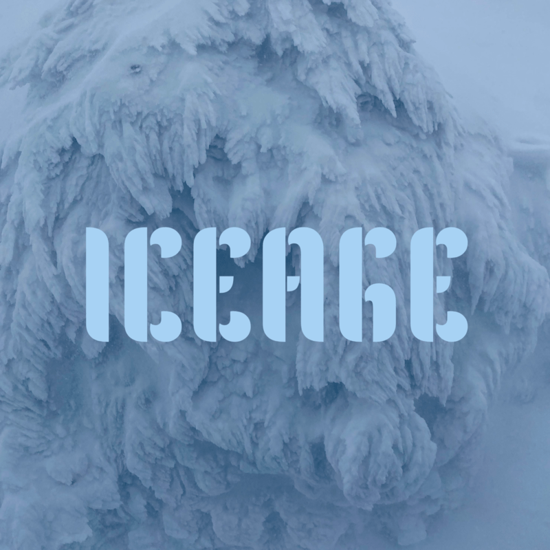 ICEAGE ジャケット