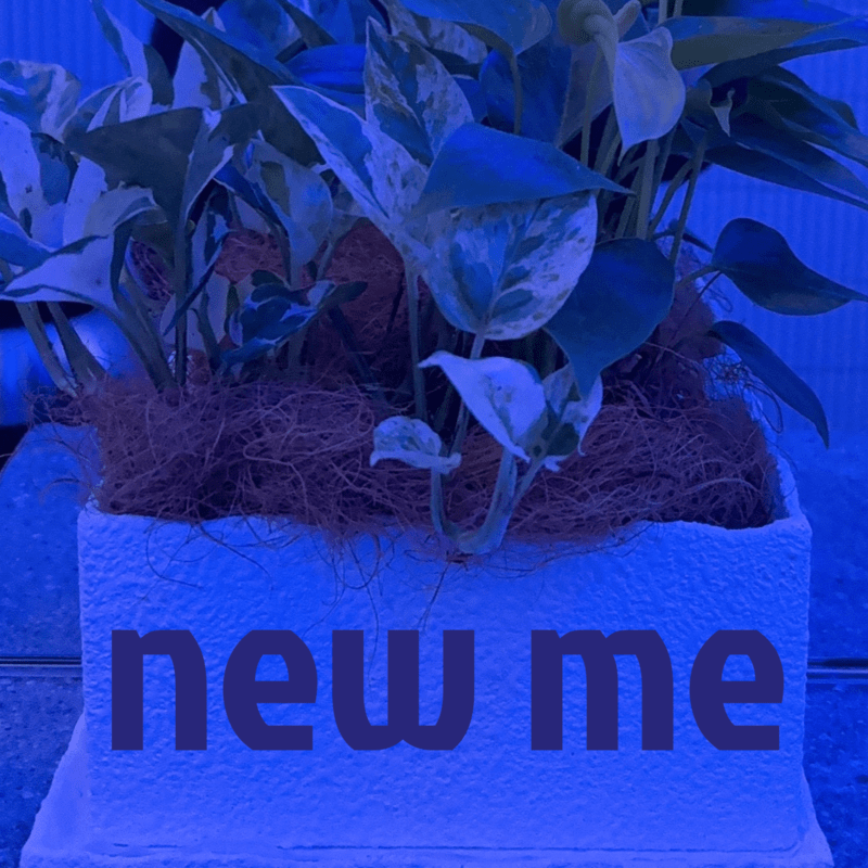 new me ジャケット